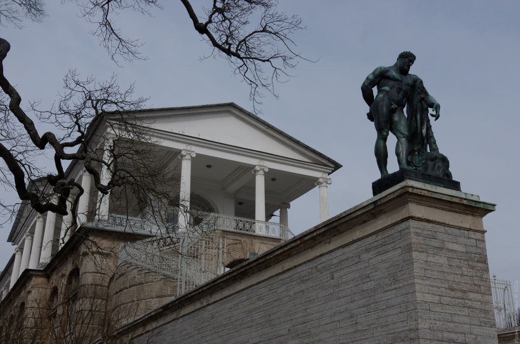 На лестнице Камероновой Галереи размещены бронзовые статуи Геркулеса и Флоры работы скульптора Гордеева. 